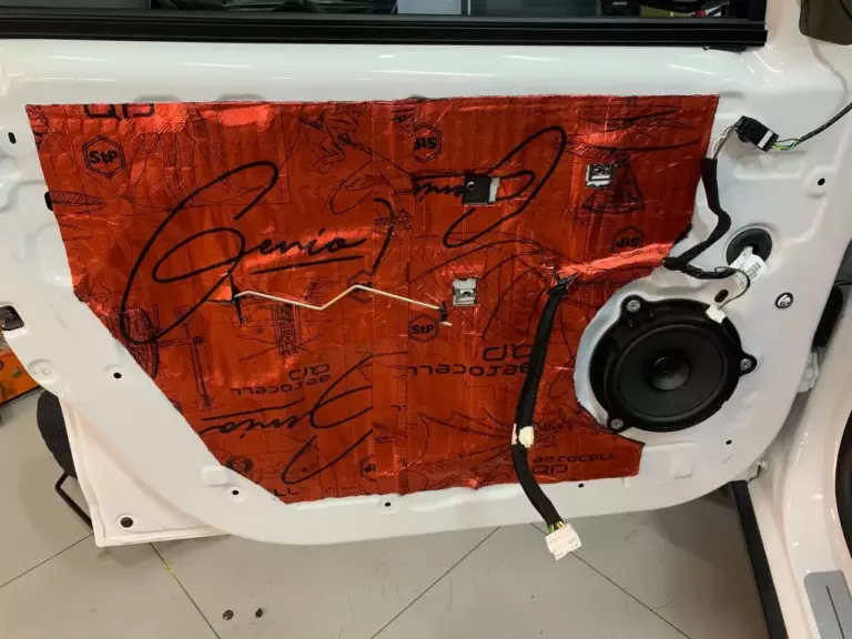 Renault Sandero Stepway двер 2